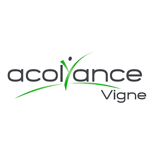 Acolyance Vigne Cohesis Vigne